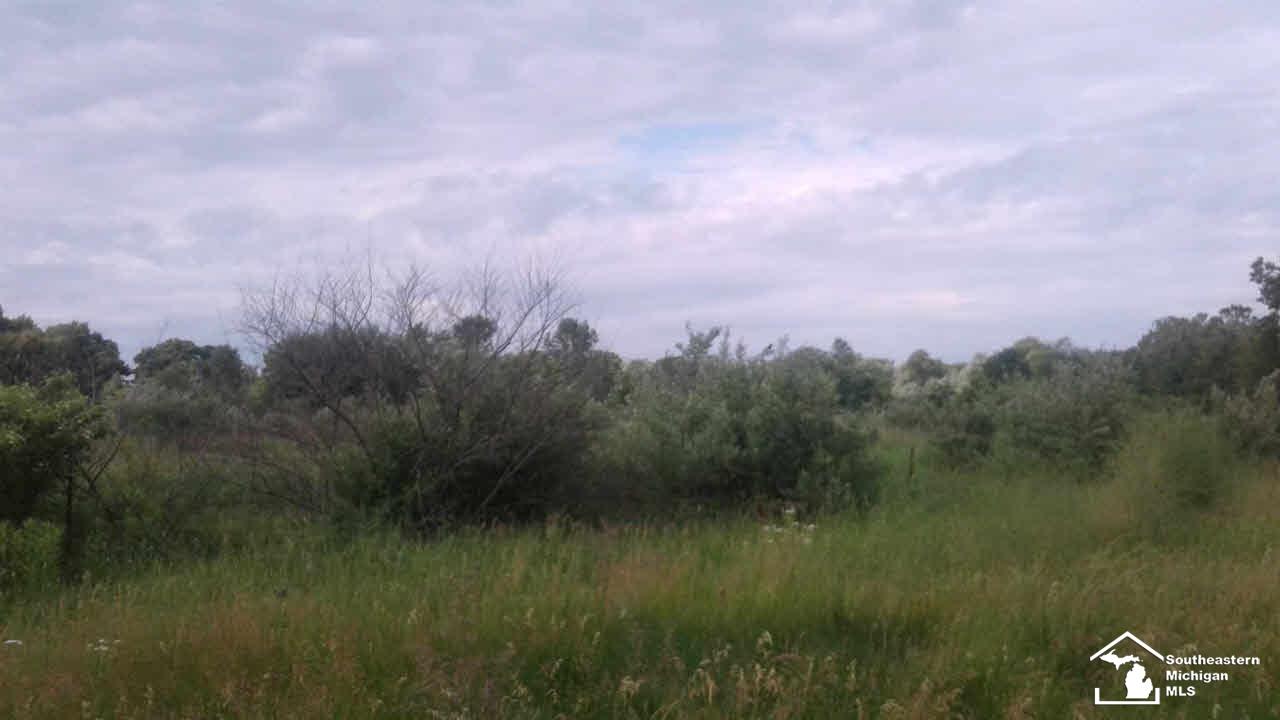 5340 Summerfield Road Petersburg, MI 49270 - Photo 7 of 9 21006455-6.JPG
