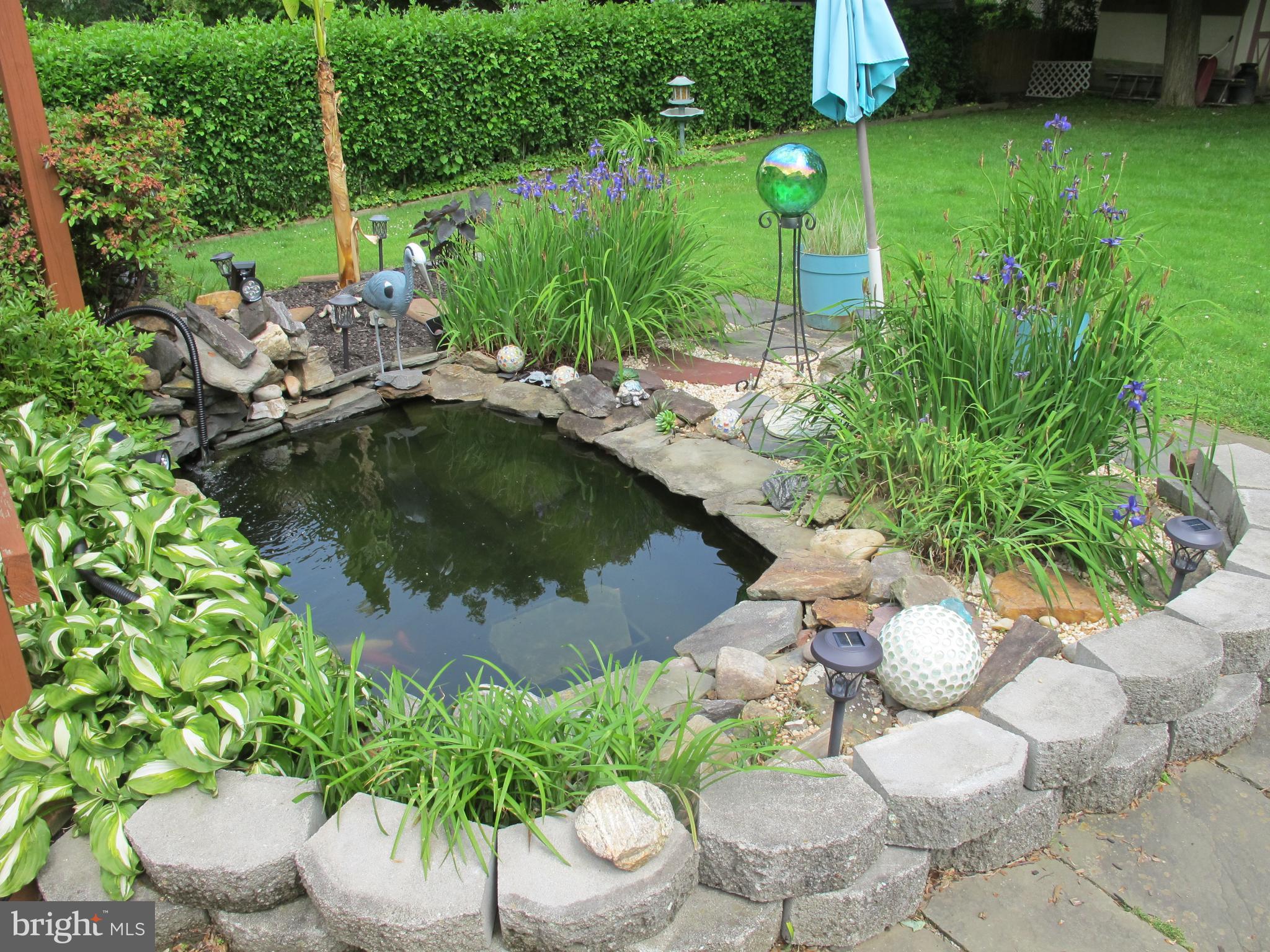 19 North Line Road Newtown Square, PA 19073 - Photo 19 of 39 Fish pond