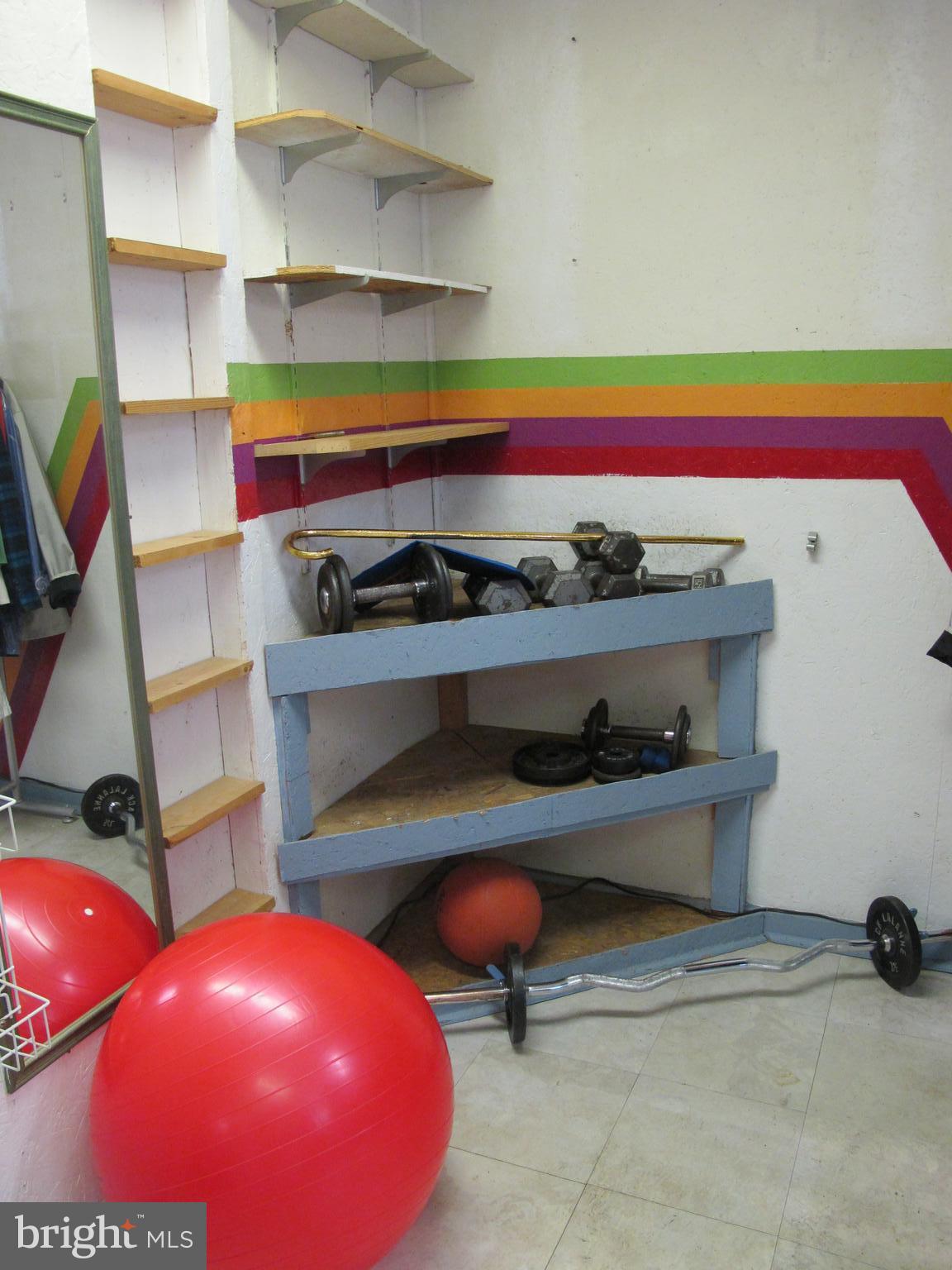 19 North Line Road Newtown Square, PA 19073 - Photo 24 of 39 Lower level exercise room