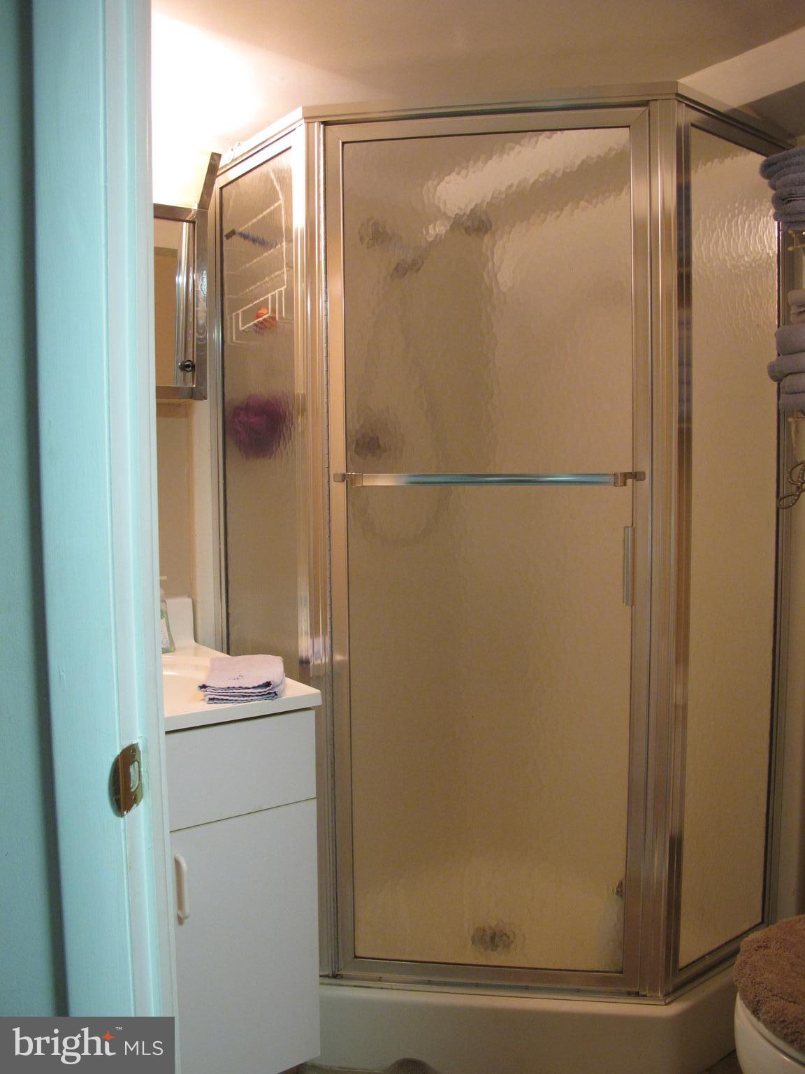 19 North Line Road Newtown Square, PA 19073 - Photo 26 of 39 Lower level bathroom
