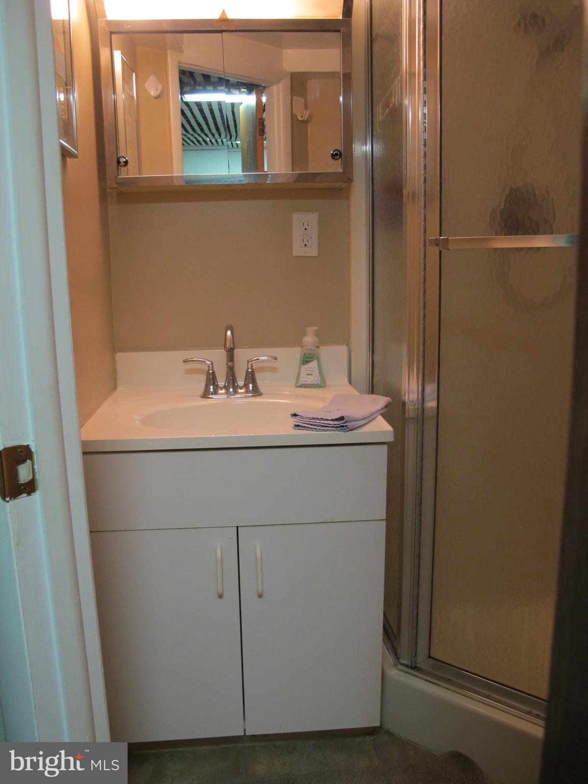 19 North Line Road Newtown Square, PA 19073 - Photo 27 of 39 Lower level bathroom