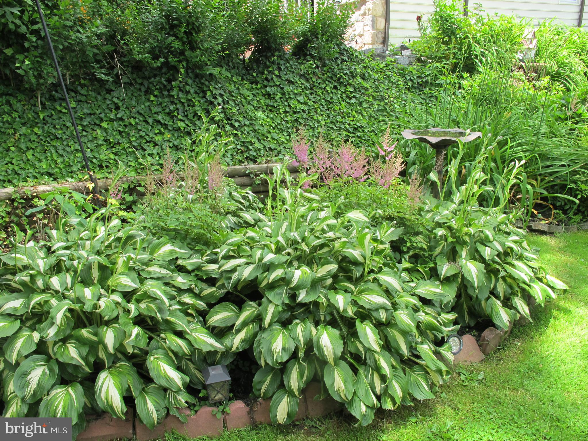 19 North Line Road Newtown Square, PA 19073 - Photo 38 of 39 Hosta bed with birdbath