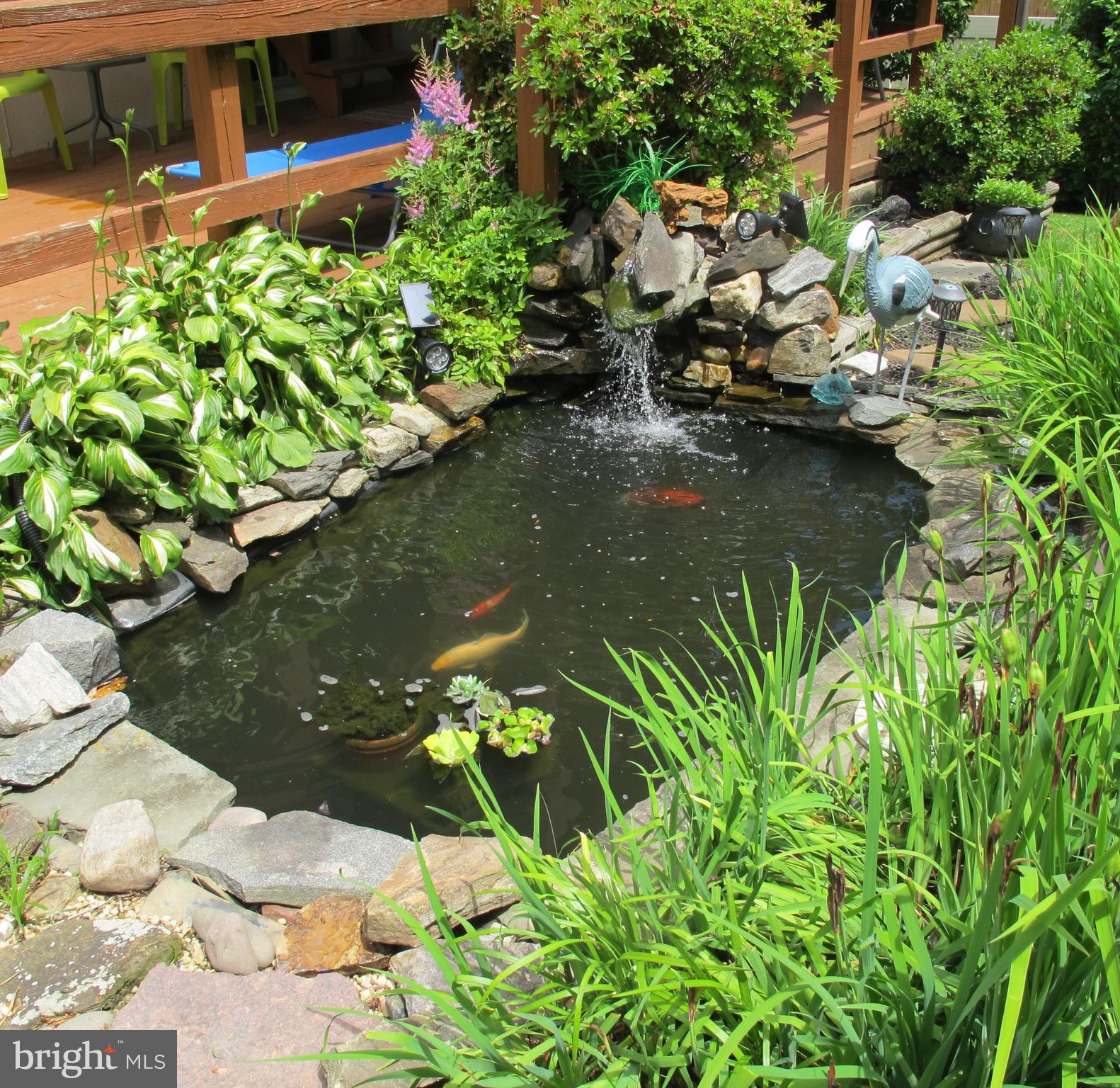 19 North Line Road Newtown Square, PA 19073 - Photo 39 of 39 Fish pond with waterfall feature