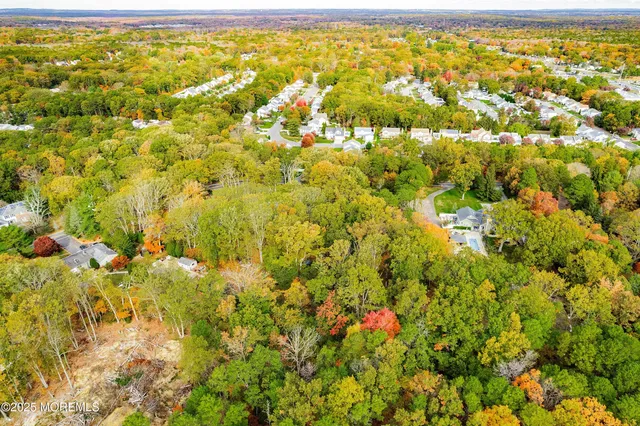 a view of a bunch of trees and houses