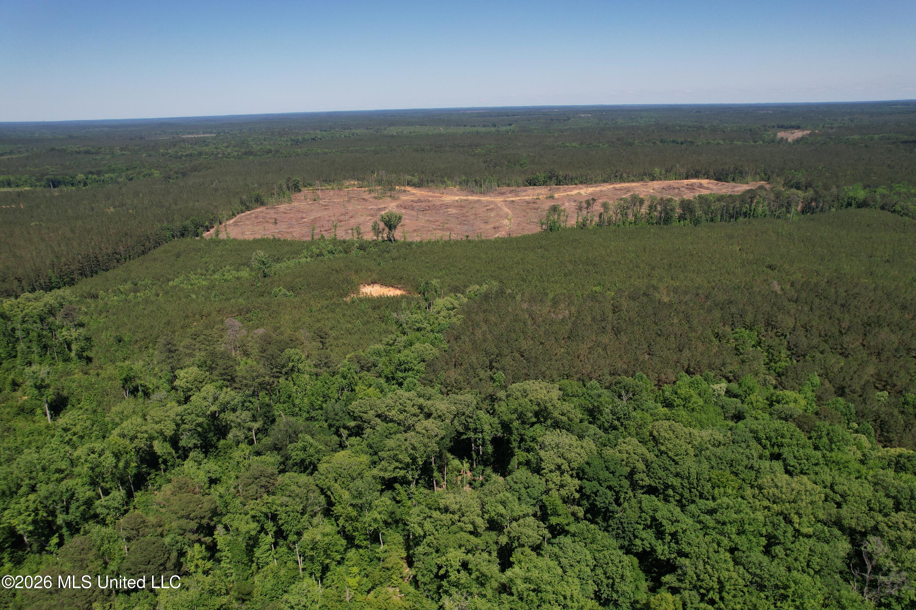 Couparle Road Camden, MS 39045 - Photo 5 of 47 DJI_0121