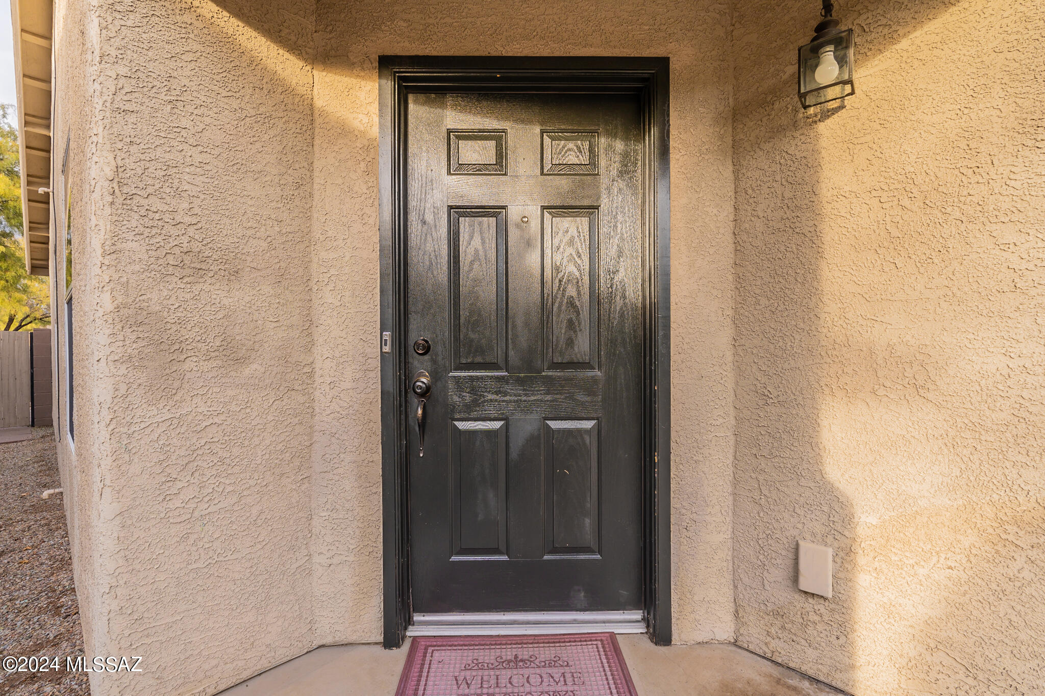 3146 West Treece Way Tucson, AZ 85742 - Photo 4 of 44