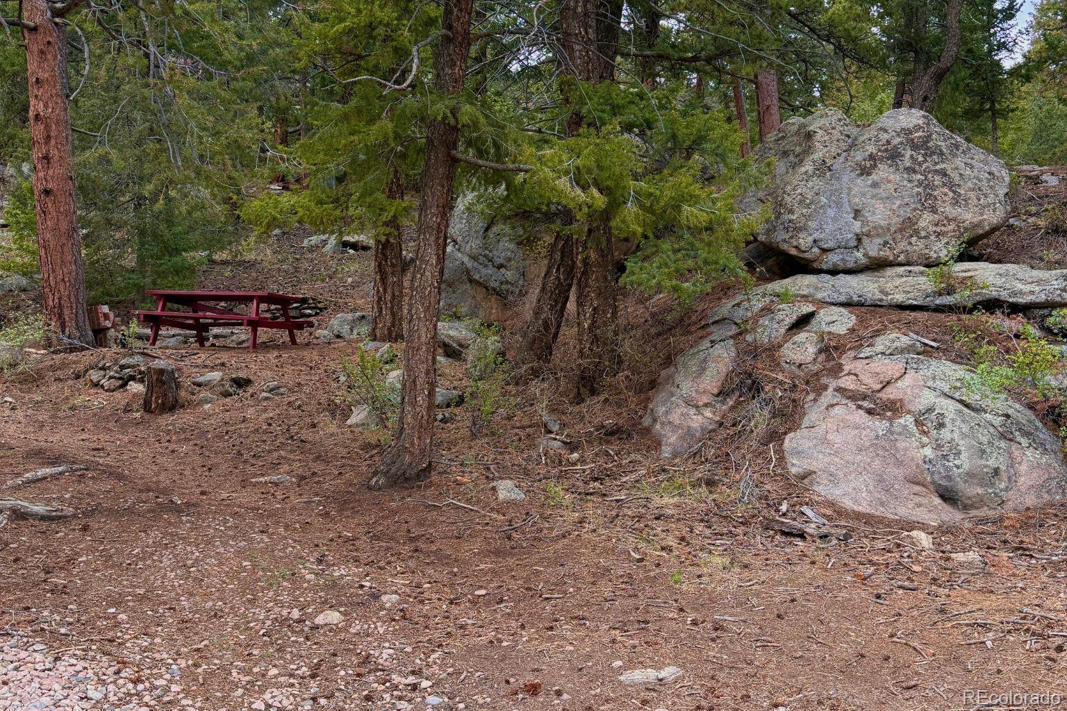 25845 Wilkerson Road Conifer, CO 80433 - Photo 3 of 16 a view of a forest with trees