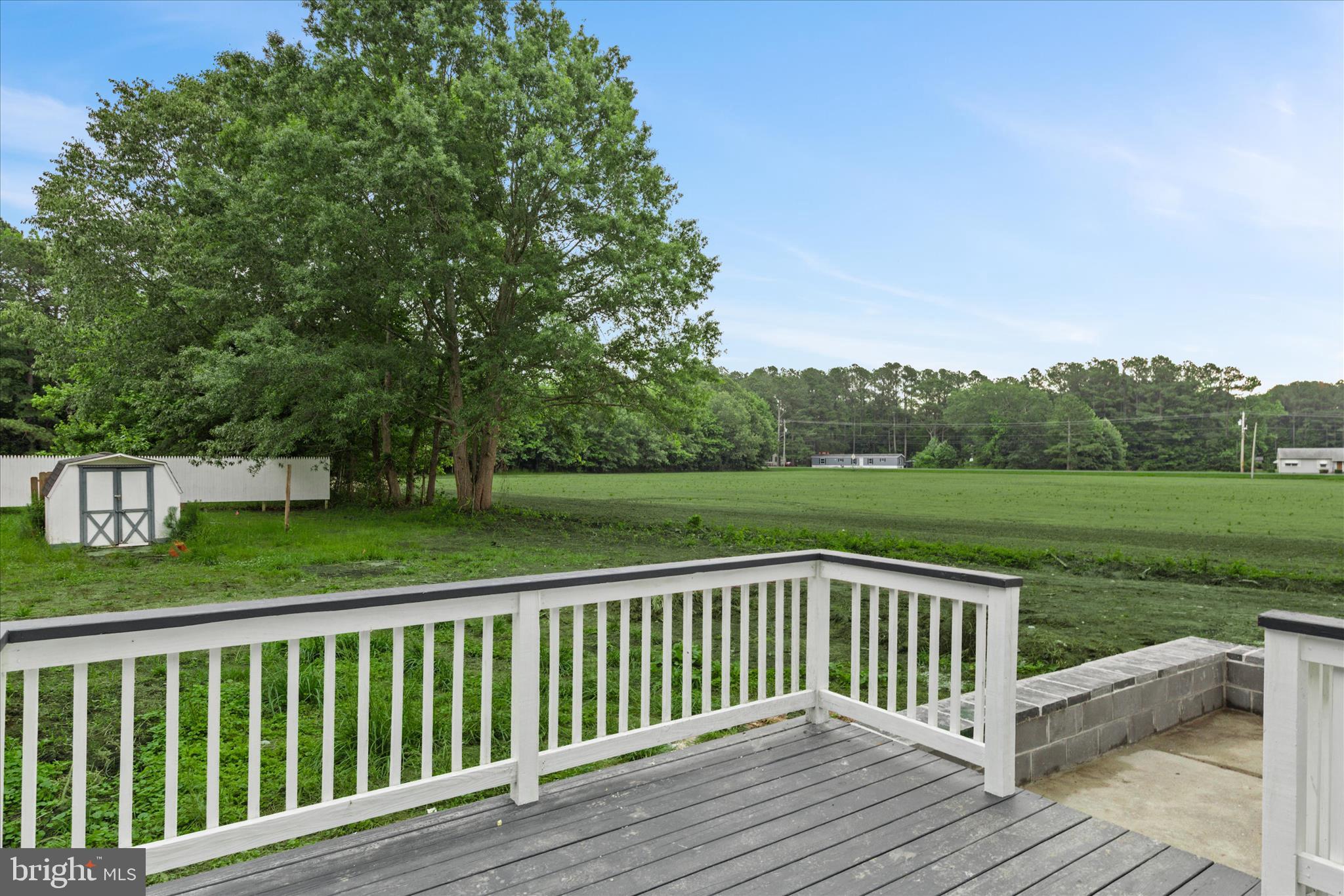 11477 Pine Pole Road Princess Anne, MD 21853 - Photo 25 of 33 Lawn