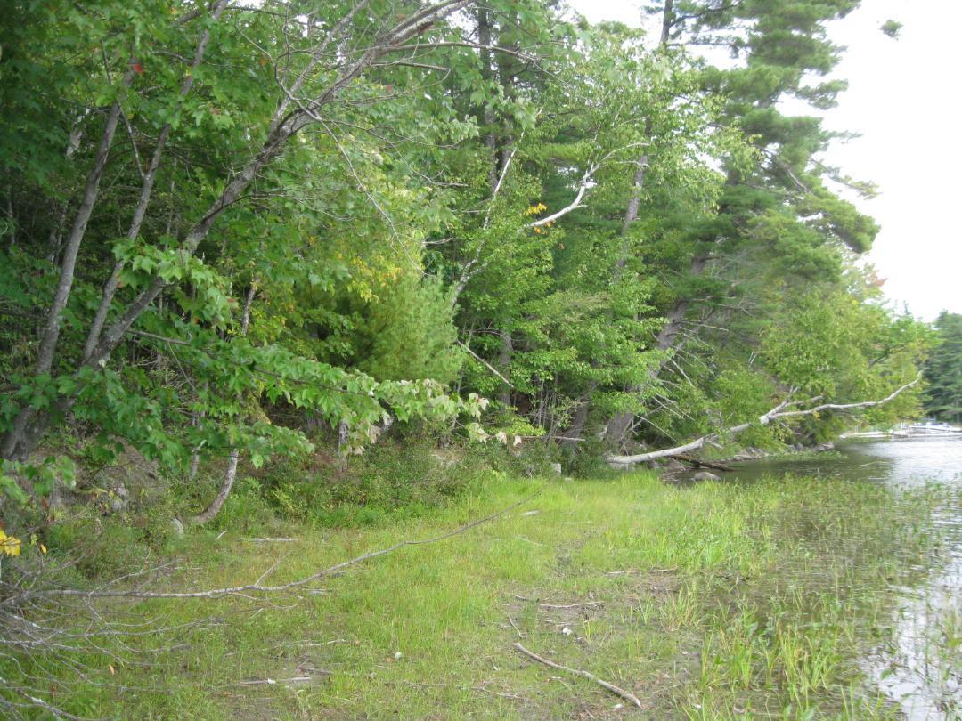 0 Legion Park Road Windsor, ME 04363 - Photo 3 of 6 Springer wtrfrnt3