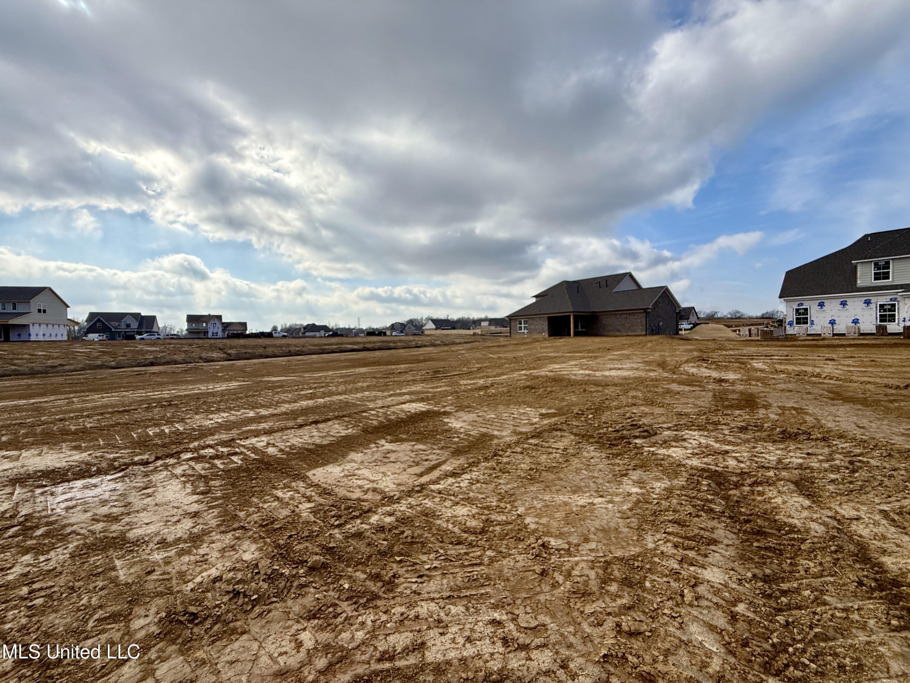 448 Wells Drive Hernando, MS 38632 - Photo 24 of 26 Elderberry Floor Plan
