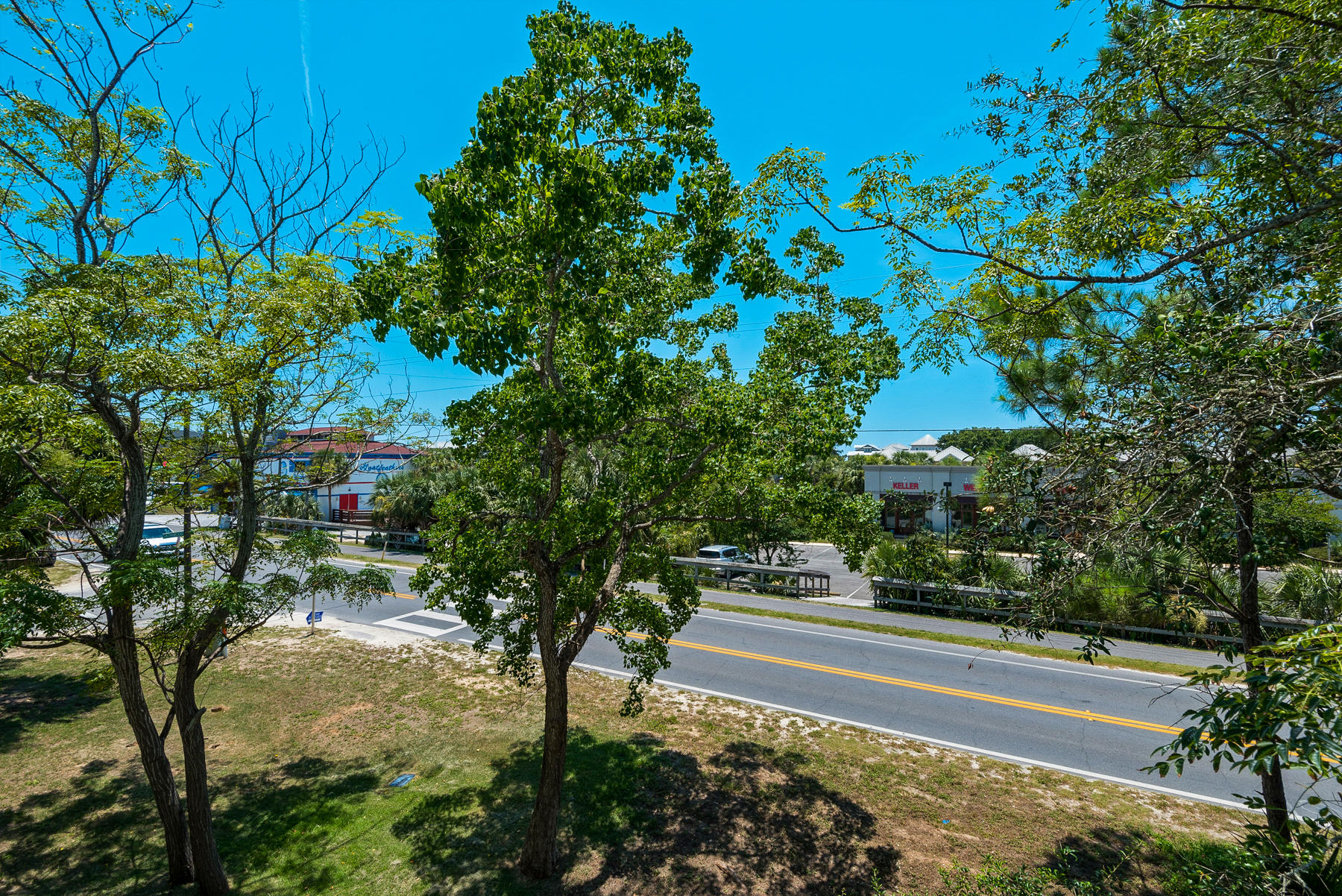 15 Seaspring Cove Santa Rosa Beach, FL 32459 - Photo 21 of 43 a view of yard with tree s