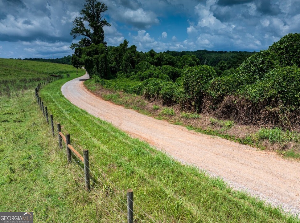 0 County Road 667 Ranburne, AL 36273 - Photo 28 of 29