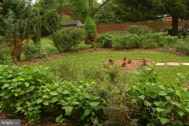 2121 Marymont Road Silver Spring, MD 20906 - Photo 10 of 30 Back yard