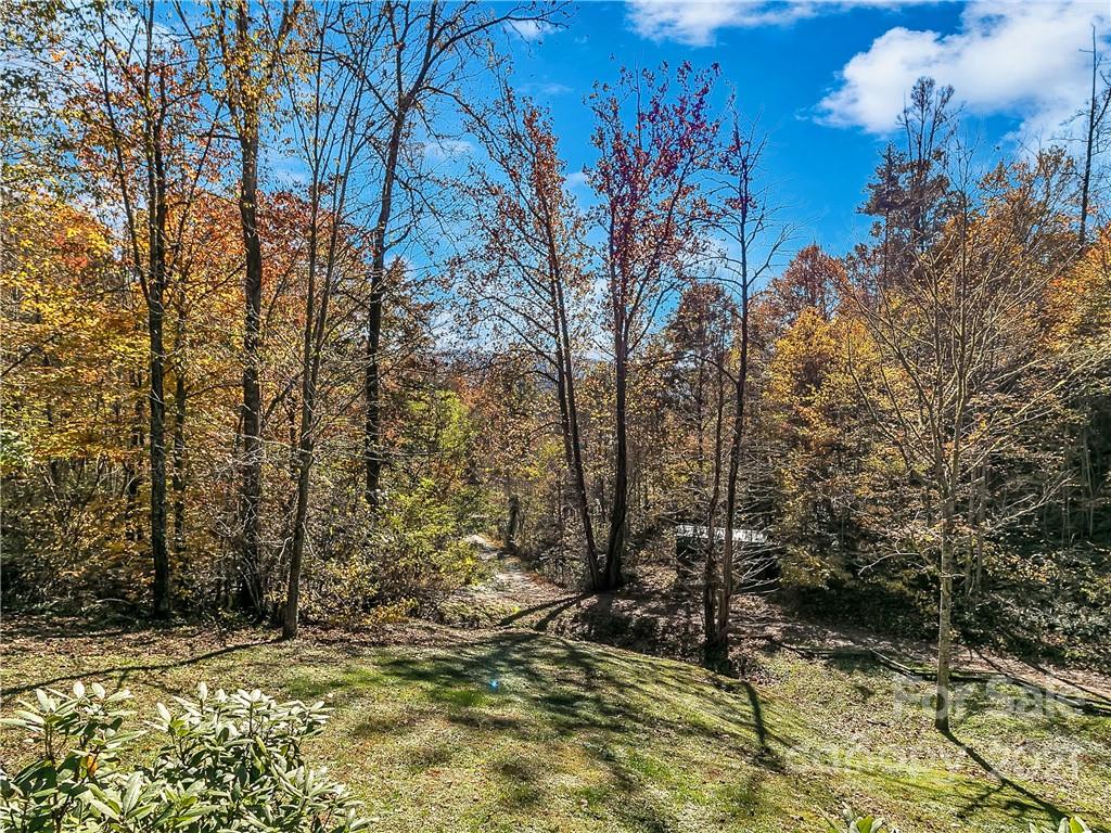 463 Blackberry Ridge Road Burnsville, NC 28714 - Photo 12 of 48 Gallery Image 12