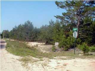 L8 Walden Road DeFuniak Springs, FL 32433 - Photo 3 of 3 Gallery Image 3