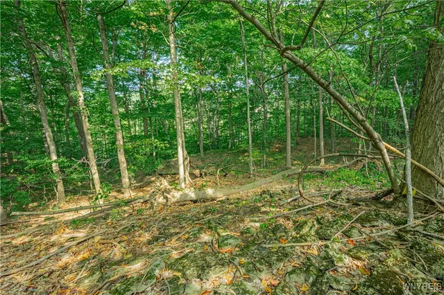 $199,000 | 17 Gothic Ledge, Lockport Town, NY 14094