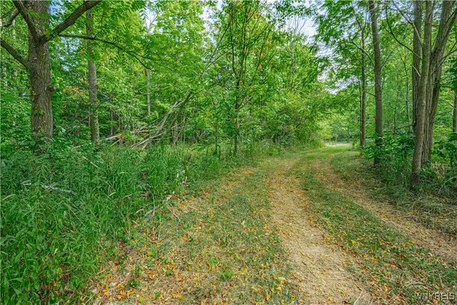 $199,000 | 17 Gothic Ledge, Lockport Town, NY 14094