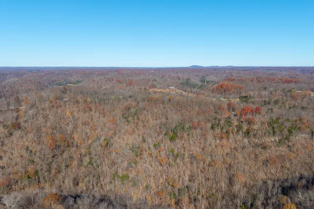 a view of a dry field with mountains in the background