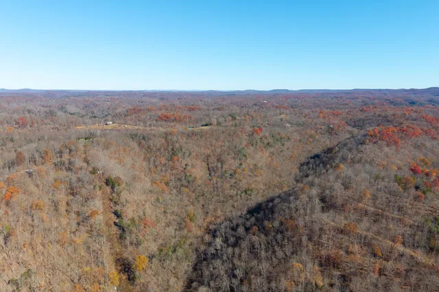 a view of a dry yard