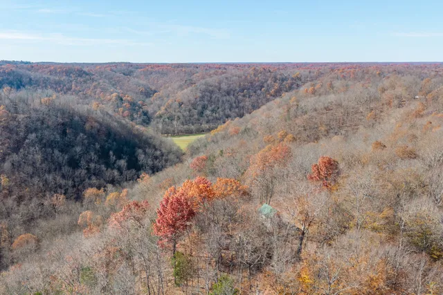 a view of a dry yard with mountains