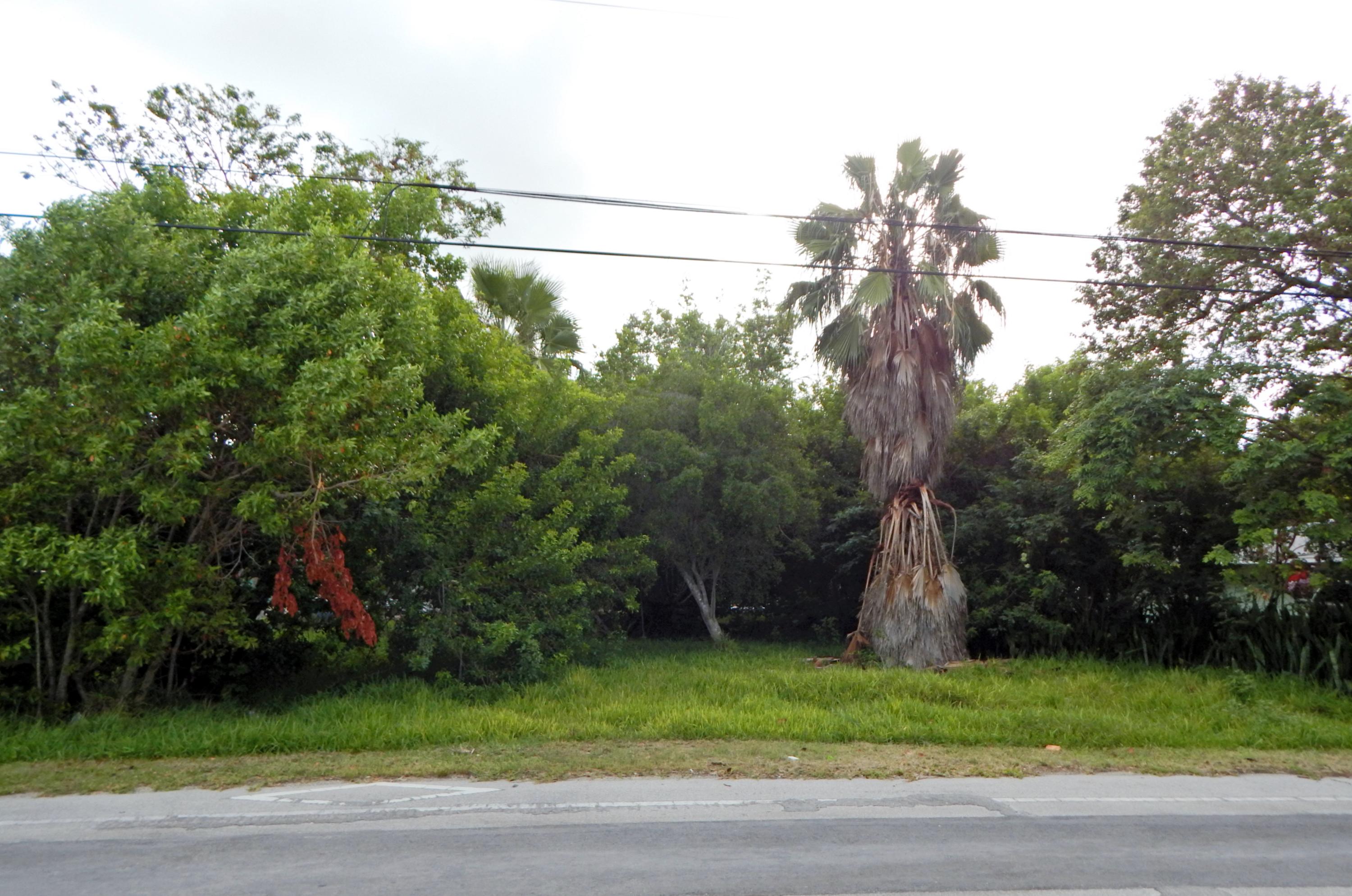 25 Sands Road Big Pine Key, FL 33043 - Photo 2 of 8 Lot view from street