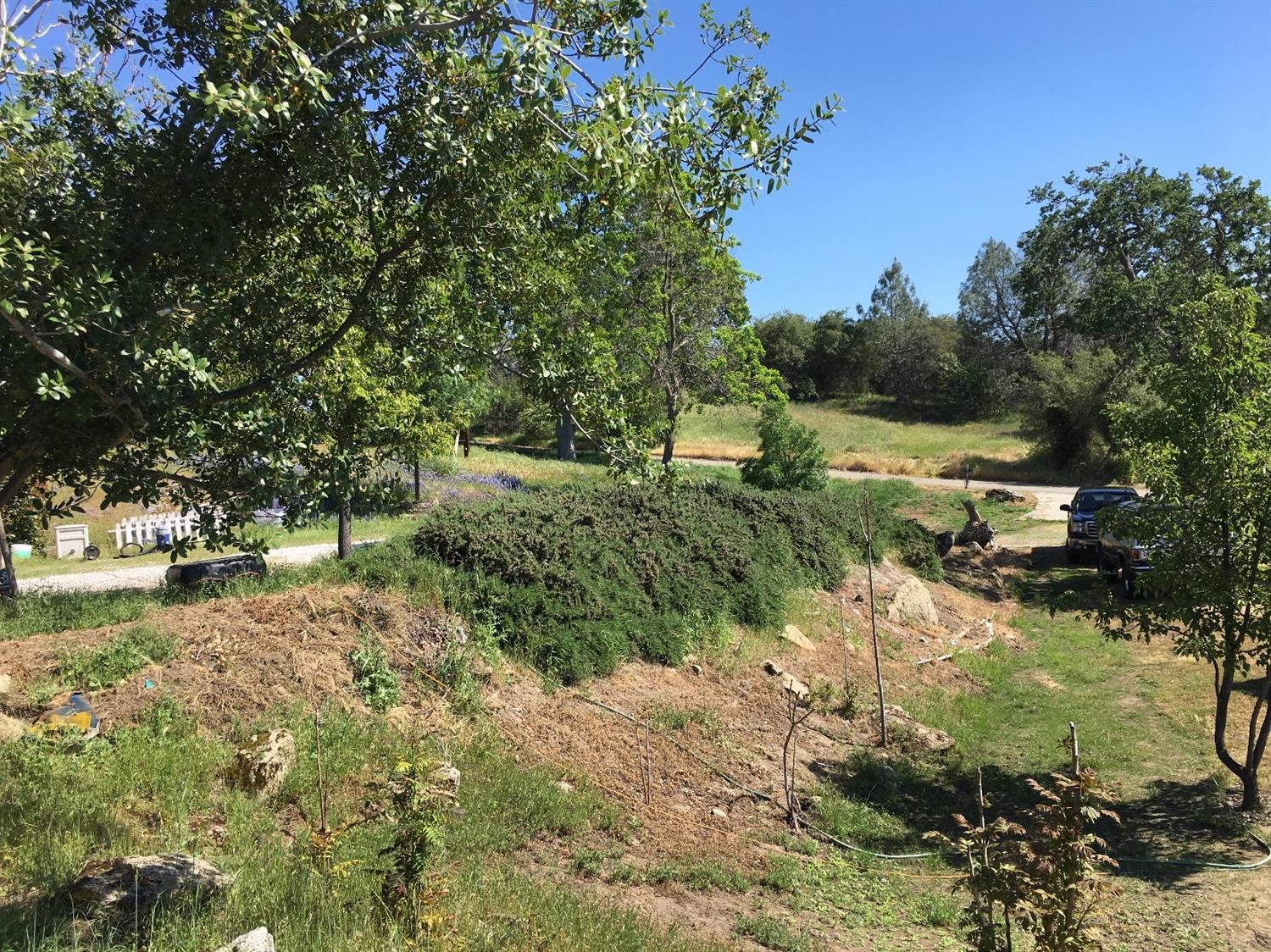 44025 Rocky Ridge Road Coarsegold, CA 93614 - Photo 4 of 36 Gallery Image 4