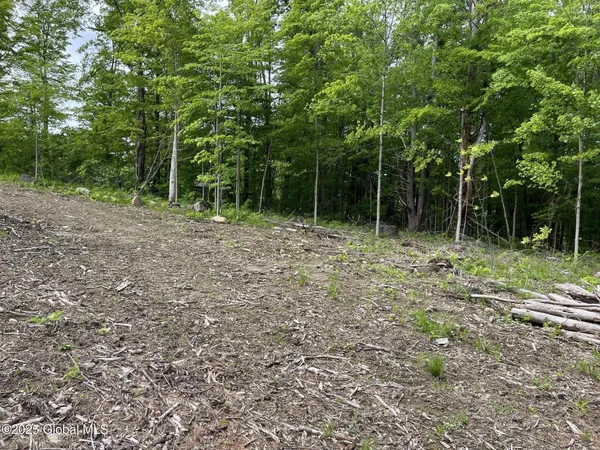 $109,900 | L4.3 Tripoli Road, Hudson Falls, NY 12839