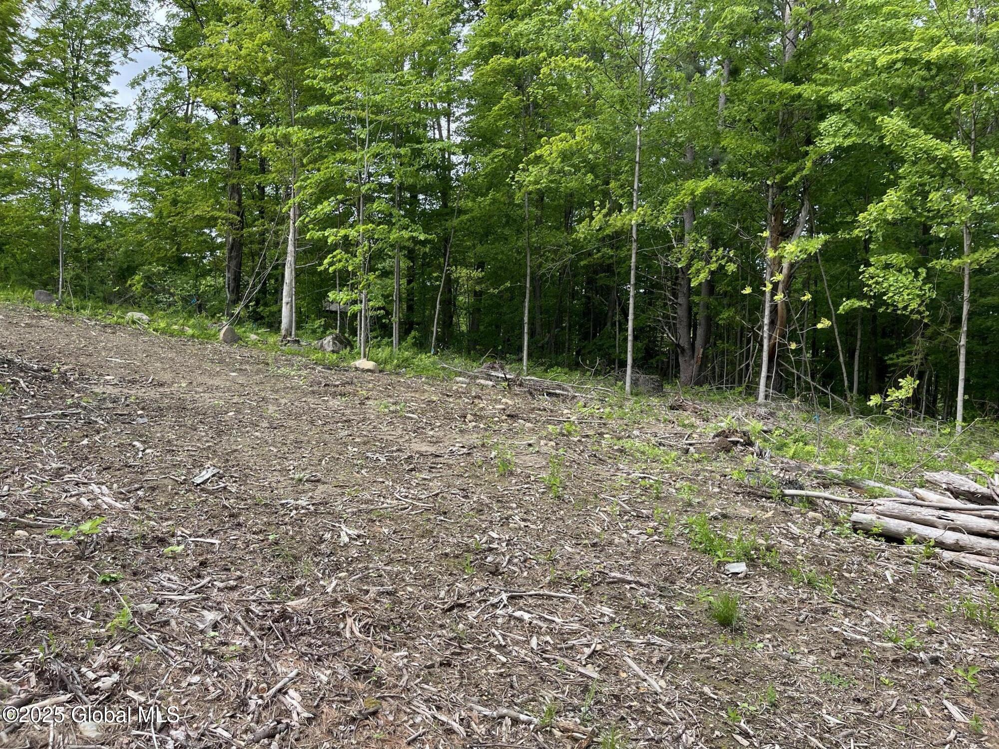 L4.3 Tripoli Road Hudson Falls, NY 12839 - Photo 4 of 10 IMG_5834