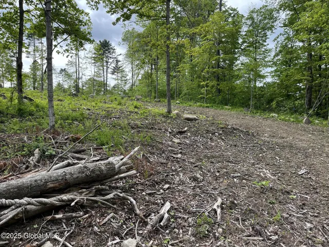 $109,900 | L4.3 Tripoli Road, Hudson Falls, NY 12839