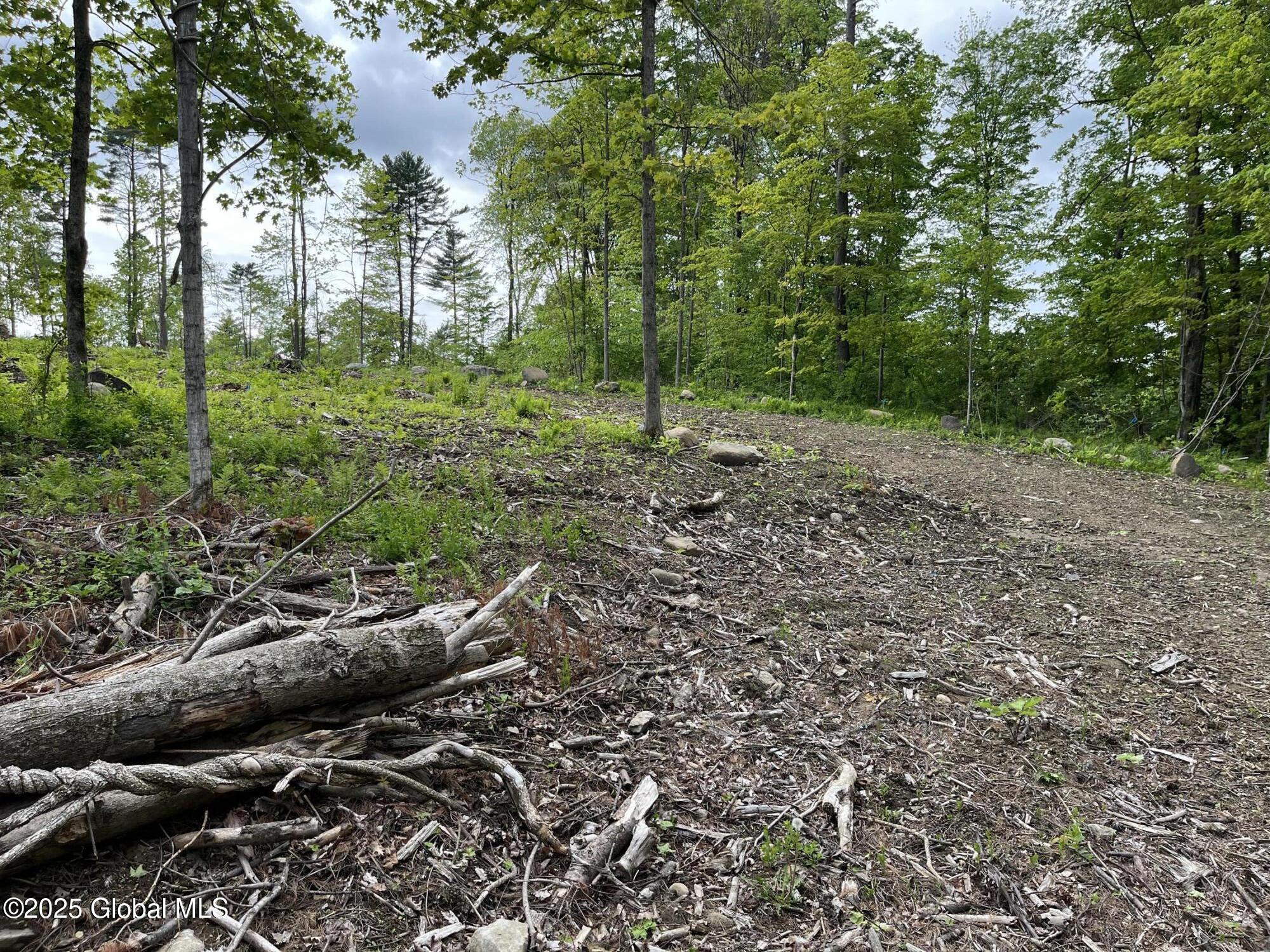 L4.3 Tripoli Road Hudson Falls, NY 12839 - Photo 5 of 10 IMG_5835