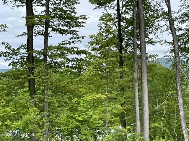 $109,900 | L4.3 Tripoli Road, Hudson Falls, NY 12839