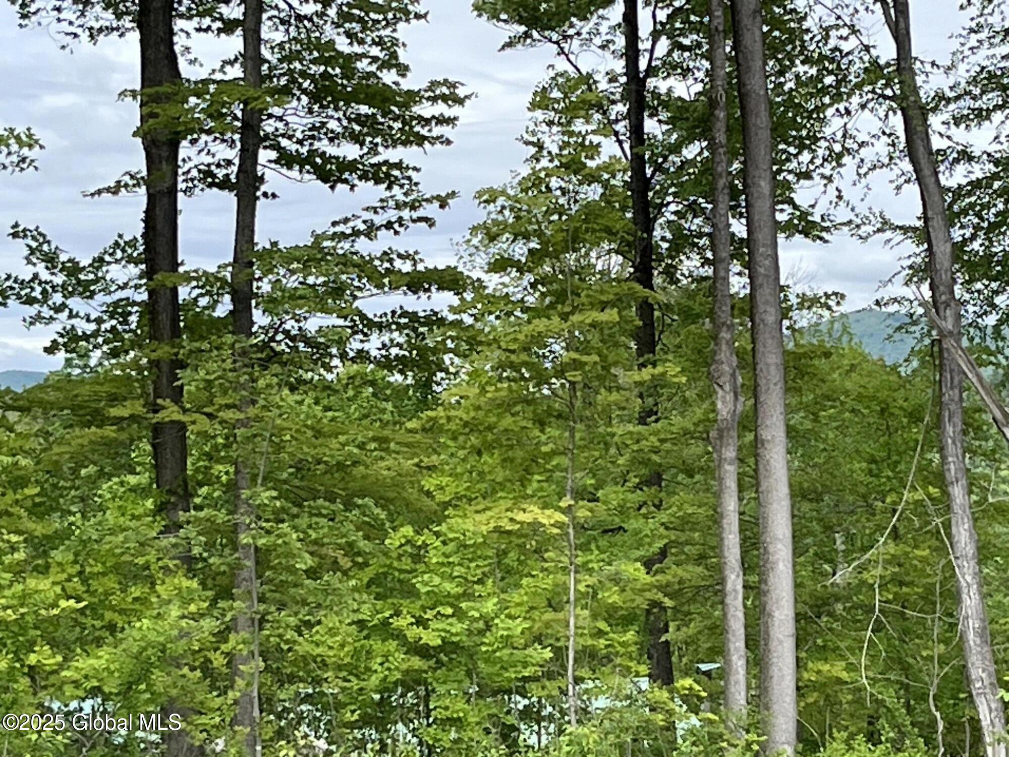 L4.3 Tripoli Road Hudson Falls, NY 12839 - Photo 7 of 10 IMG_5837