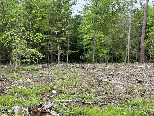 $109,900 | L4.3 Tripoli Road, Hudson Falls, NY 12839