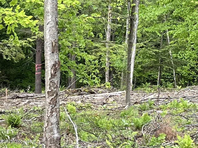 $109,900 | L4.3 Tripoli Road, Hudson Falls, NY 12839