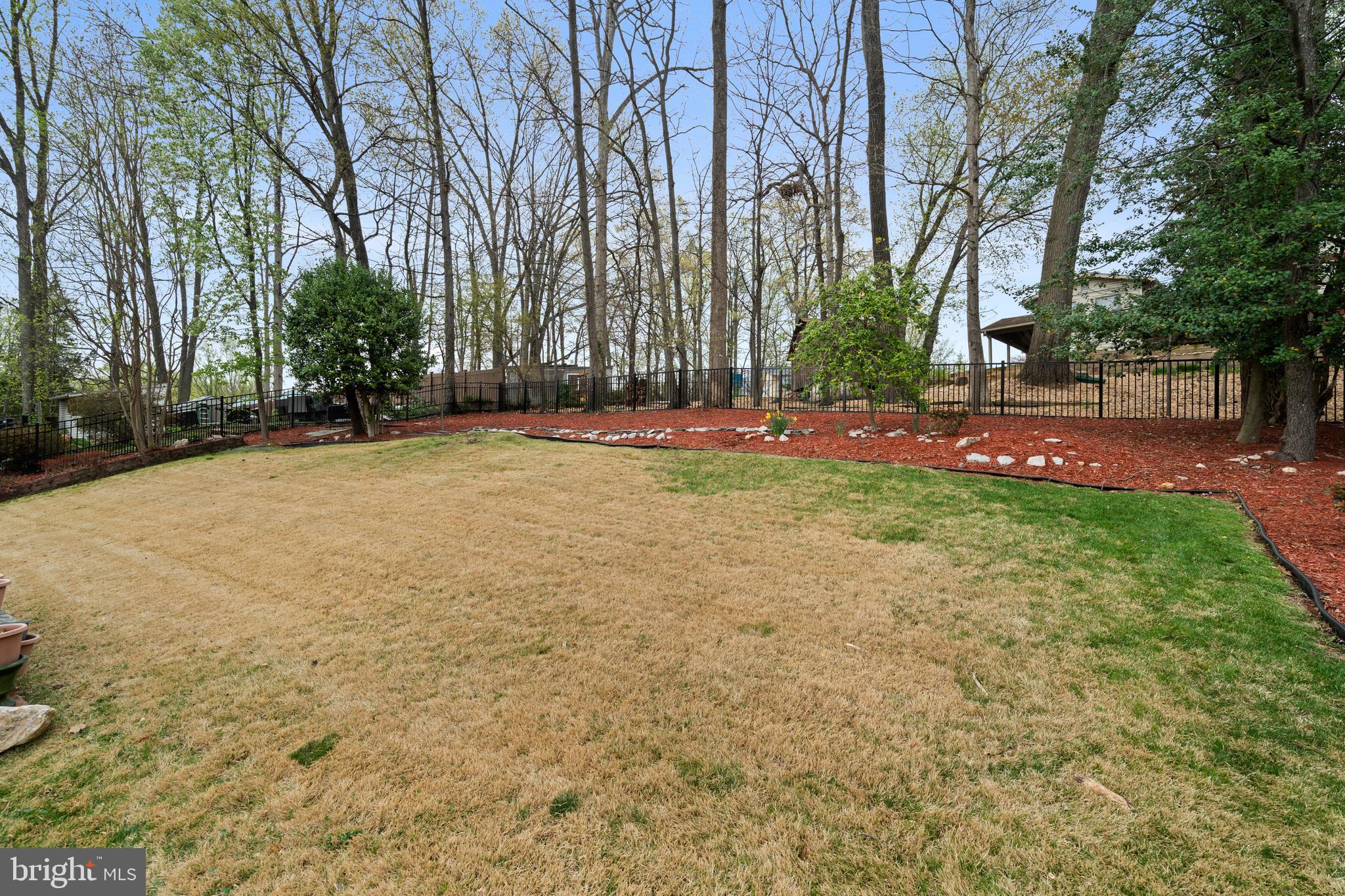 6119 Greeley Boulevard Springfield, VA 22152 - Photo 35 of 38 a view of a yard with large trees