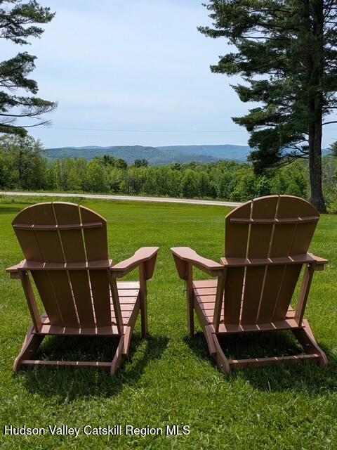 21 Stone House Road Canaan, NY 12029 - Photo 57 of 76 PXL_20260527_162644315