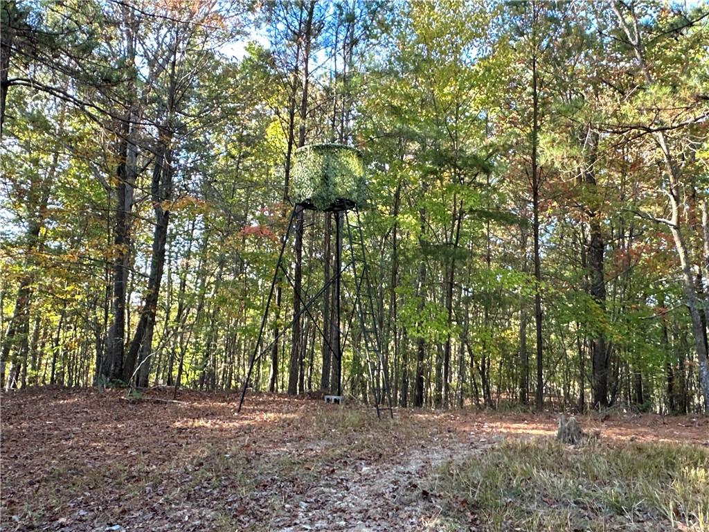 1806 Browning Road Rockmart, GA 30153 - Photo 37 of 97