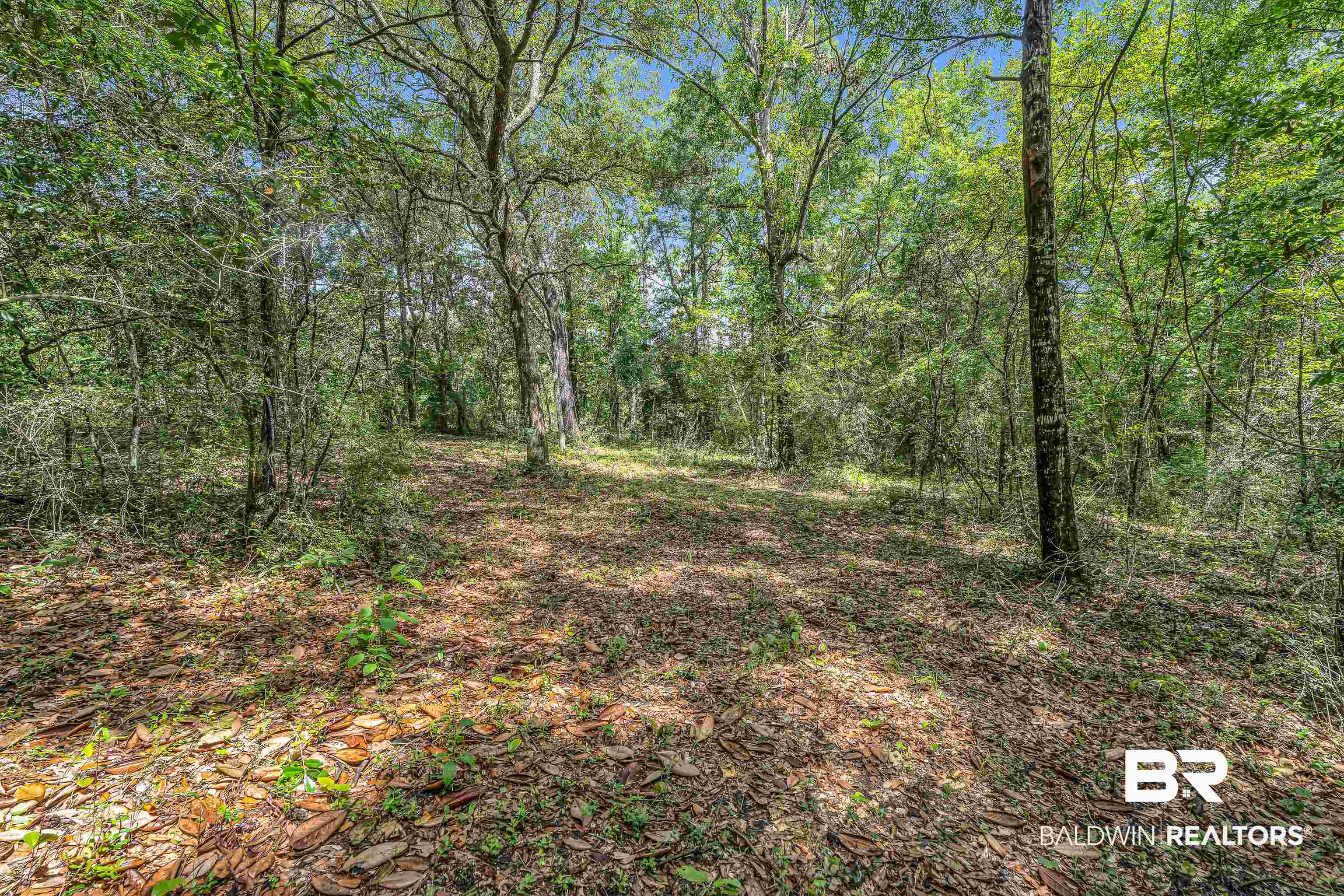 39 County Road 39 Stapleton, AL 36578 - Photo 11 of 16 View of woods