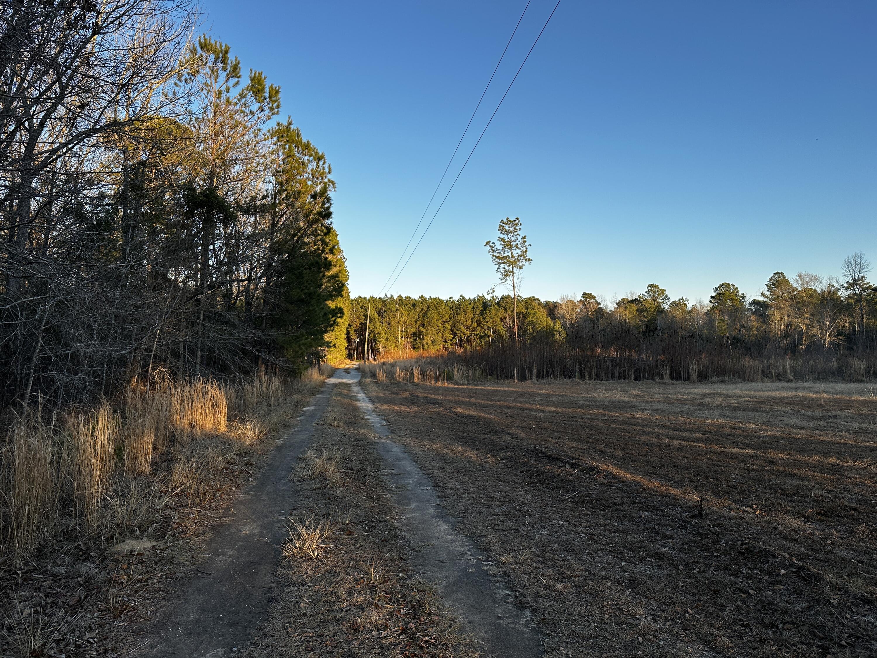 1260 Spring Plains Road Cross, SC 29436 - Photo 19 of 26 IMG_3525