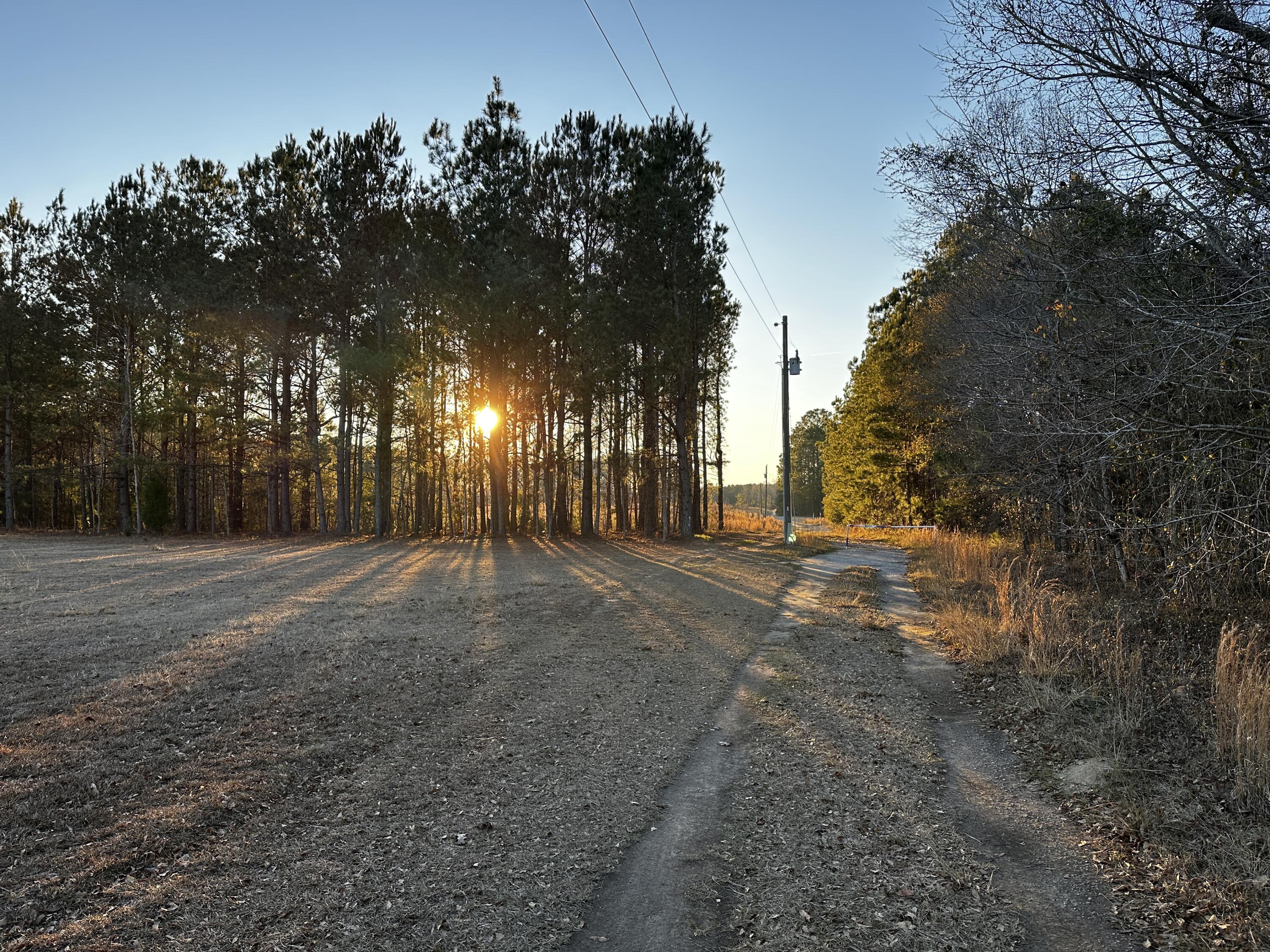 1260 Spring Plains Road Cross, SC 29436 - Photo 20 of 26 IMG_3526