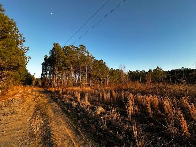 $295,000 | 1260 Spring Plains Road, Cross, SC 29436