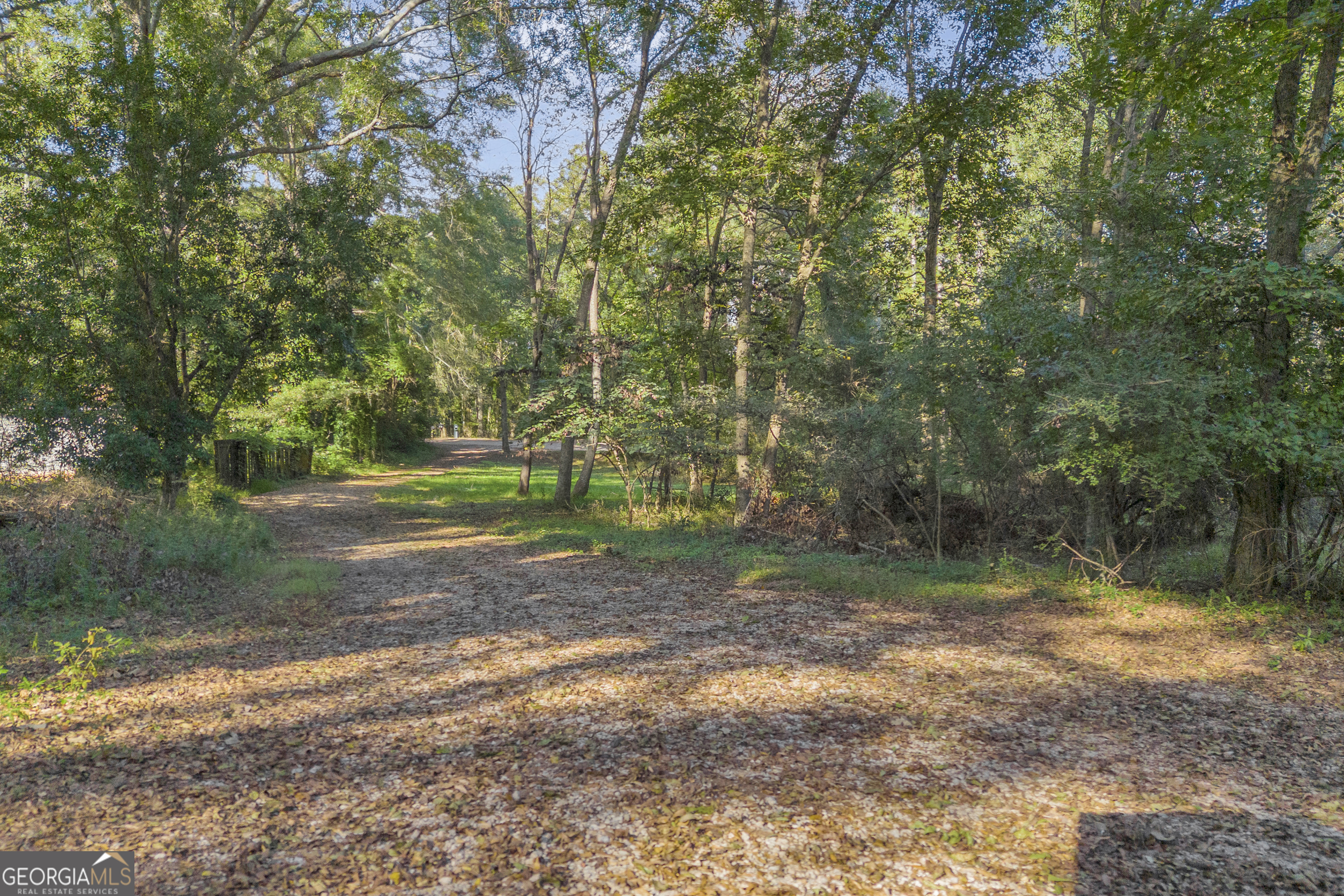 260 Pettit Lane Athens, GA 30605 - Photo 52 of 65 a view of a tree in the middle of a yard
