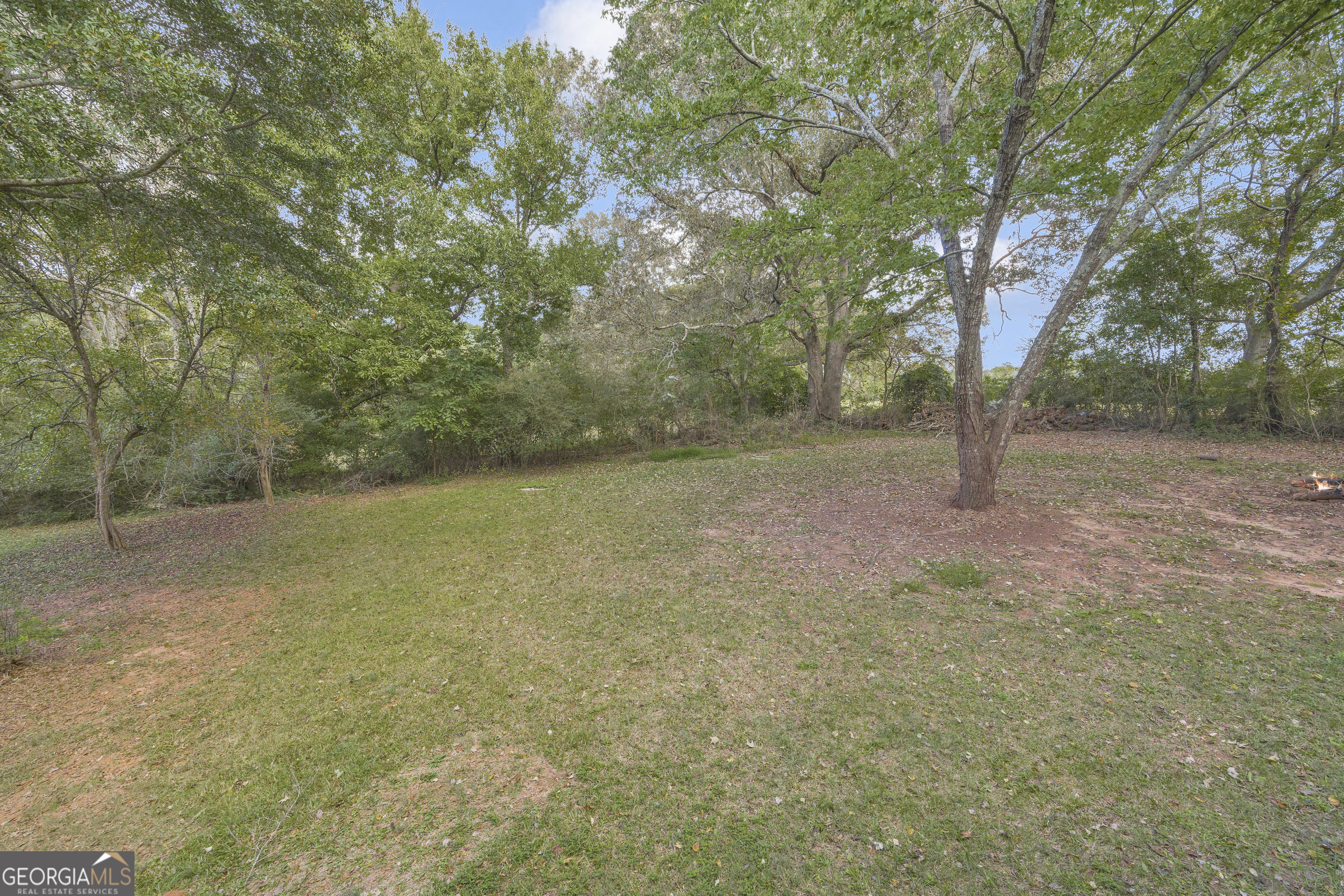 260 Pettit Lane Athens, GA 30605 - Photo 53 of 65 a view of a yard with a tree