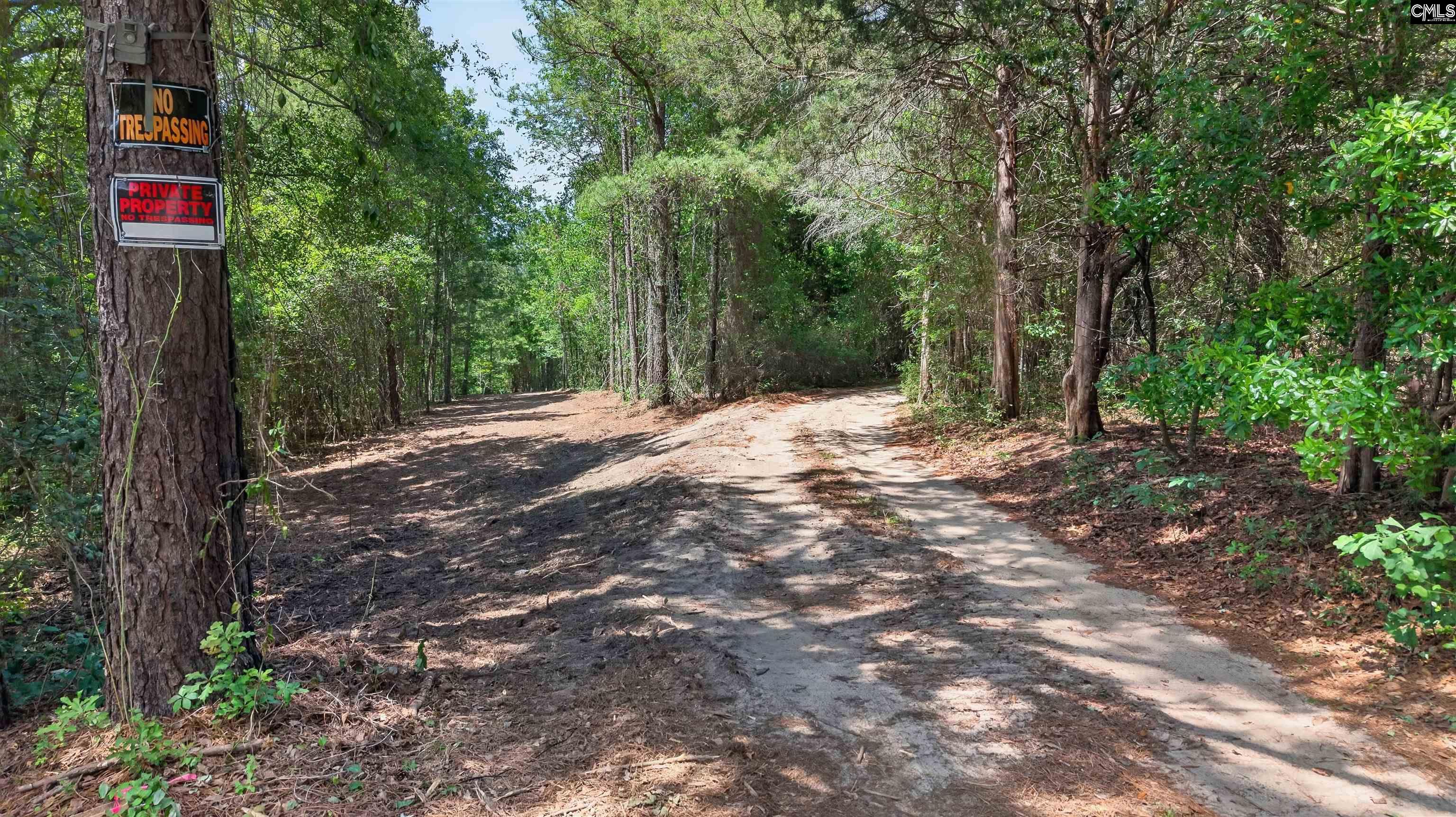 1176 A Old Stagecoach Road Camden, SC 29020 - Photo 3 of 9