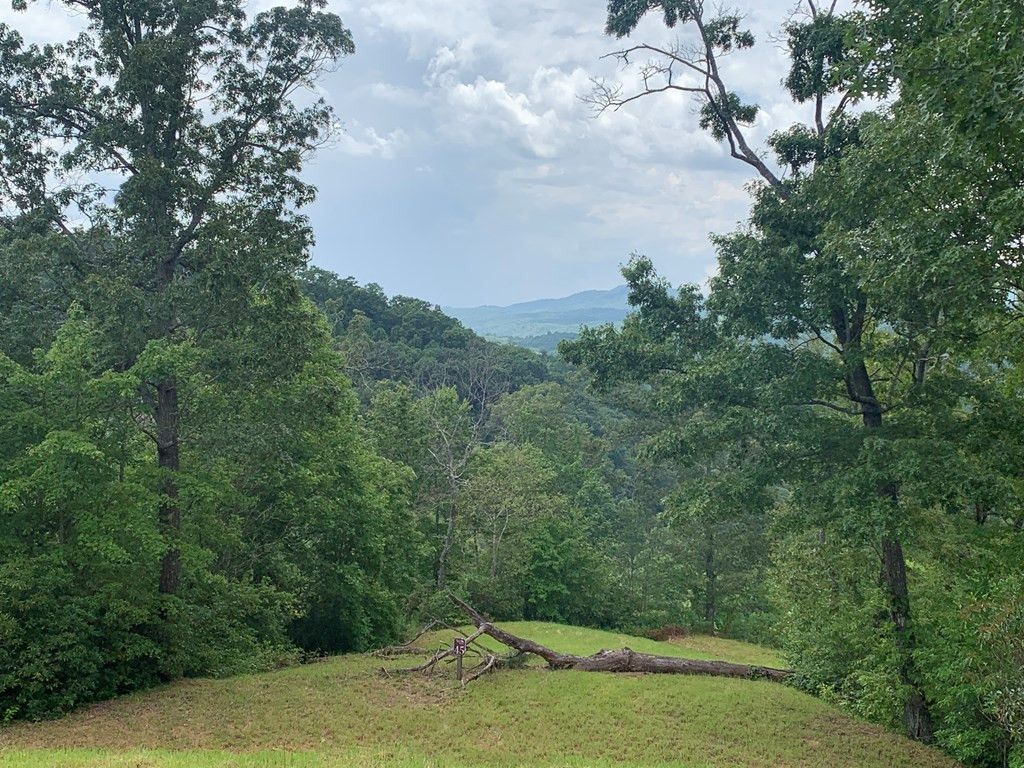 44-45 Silo Vw Road Marble, NC 28905 - Photo 5 of 7
