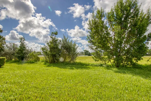 a view of a yard with swimming pool