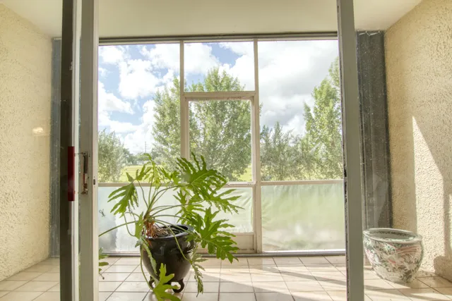 a window with garden view