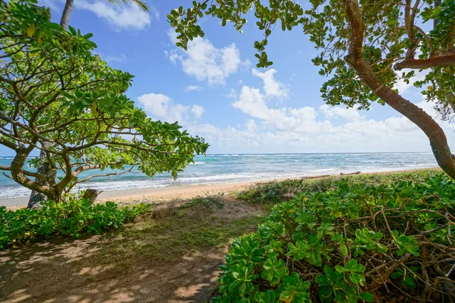 a view of a yard with an trees