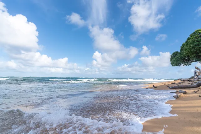 a view of beach and city
