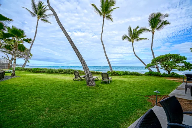 a view of a garden with a slide